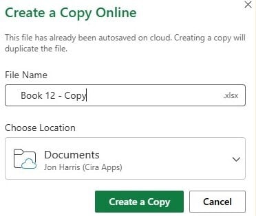 click Create a Copy in Excel